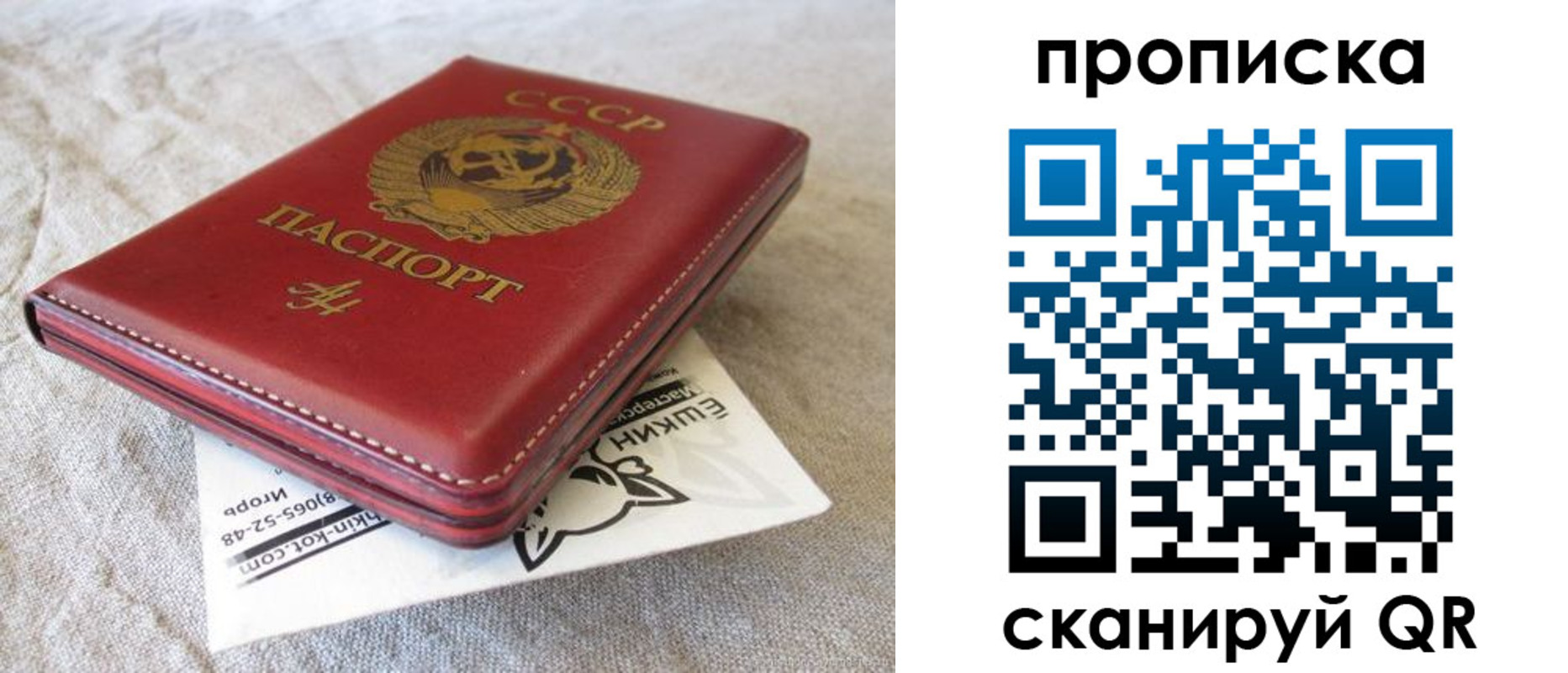 прописка для школы в Боровичах